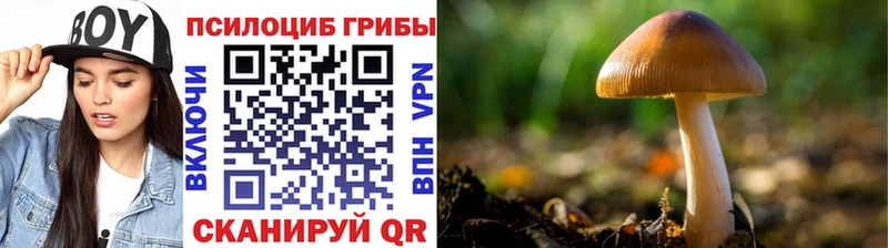 Галлюциногенные грибы GOLDEN TEACHER  Пролетарск 